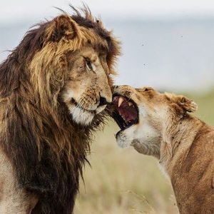 Meet your Posher, Phyllis